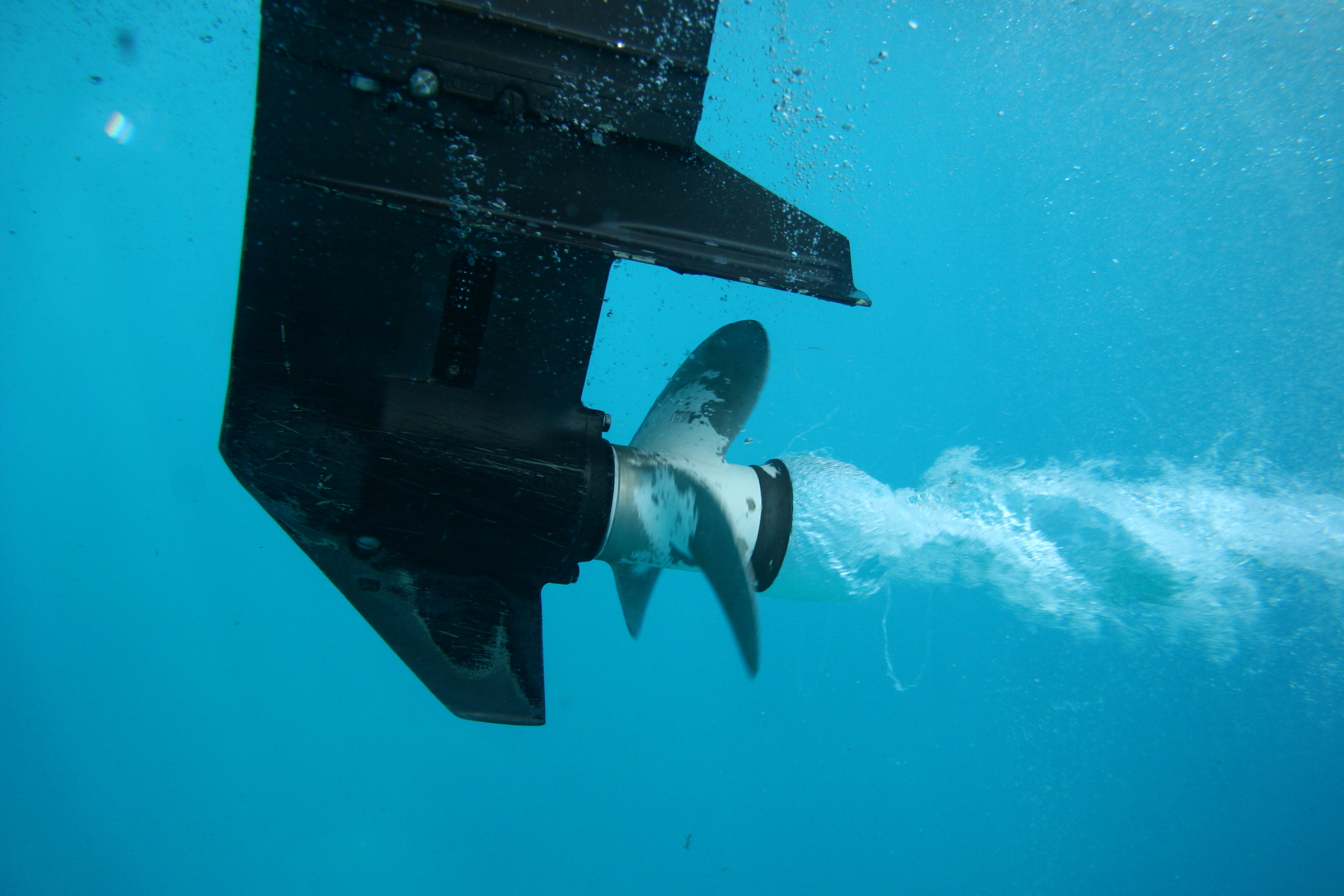Rope cutter for propeller